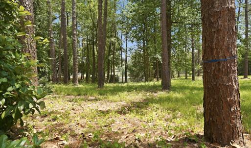 Photo #10 of 55 Apawamis, Pinehurst, NC 1.4 acres