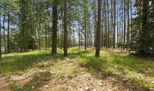 Photo #11 of 55 Apawamis, Pinehurst, NC 1.4 acres