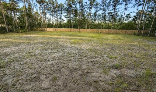Photo #2 of American, Rocky Point, NC 3.5 acres