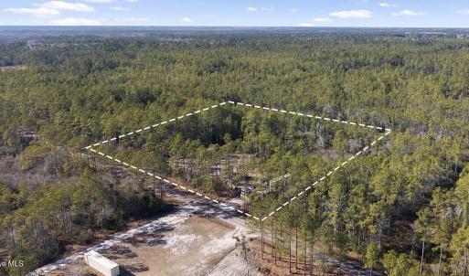 Photo #8 of American, Rocky Point, NC 3.5 acres
