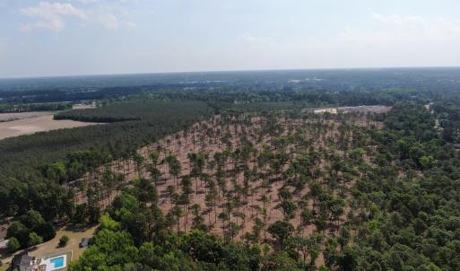 Photo #9 of Tbd Donna, Laurinburg, NC 44.2 acres