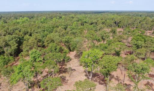 Photo #10 of Tbd Donna, Laurinburg, NC 44.2 acres