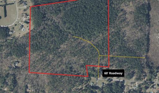 Photo #1 of Tbd Donna, Laurinburg, NC 44.2 acres