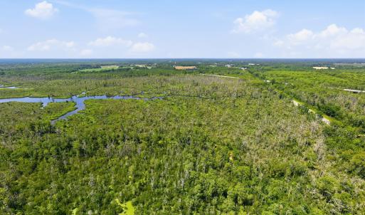 Photo #6 of Us 17, Chocowinity, NC 121.2 acres