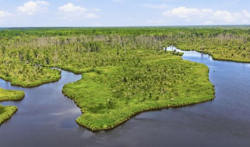 Photo #13 of Us 17, Chocowinity, NC 121.2 acres