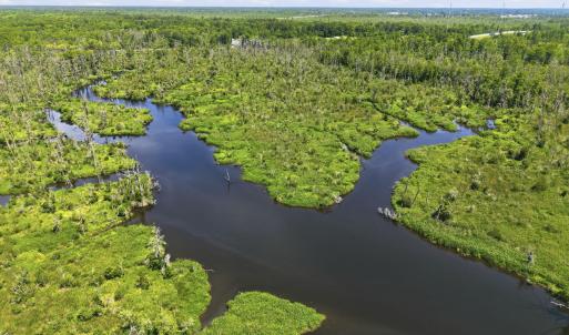 Photo #11 of Us 17, Chocowinity, NC 121.2 acres