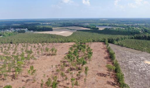 Photo #2 of Tbd Donna, Laurinburg, NC 7.4 acres