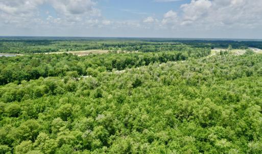 Photo #6 of Near 10769 Old 74, Evergreen, NC 113.0 acres