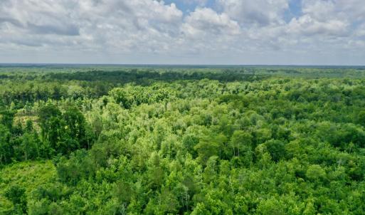 Photo #4 of Near 10769 Old 74, Evergreen, NC 113.0 acres