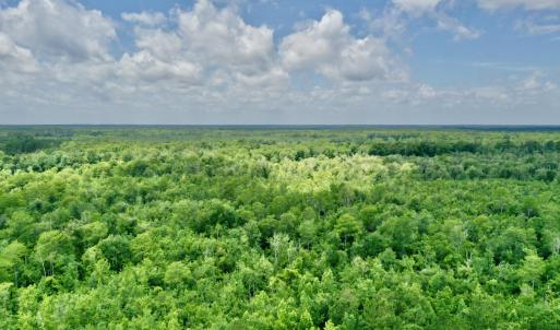 Photo #5 of Near 10769 Old 74, Evergreen, NC 113.0 acres