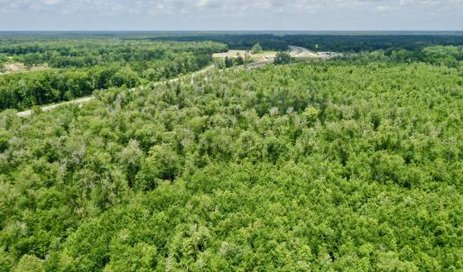 Photo #11 of Near 10769 Old 74, Evergreen, NC 113.0 acres