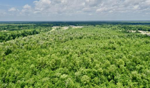 Photo #10 of Near 10769 Old 74, Evergreen, NC 113.0 acres