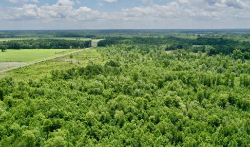 Photo #13 of Near 10769 Old 74, Evergreen, NC 113.0 acres