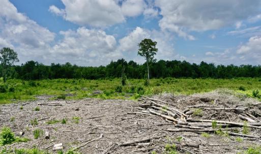 Photo #7 of Near 10769 Old 74, Evergreen, NC 113.0 acres