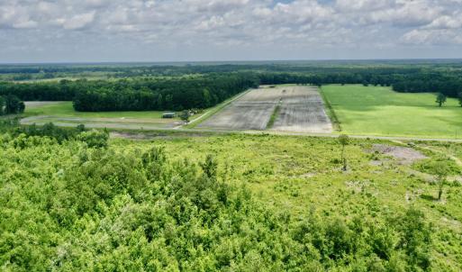Photo #9 of Near 10769 Old 74, Evergreen, NC 113.0 acres