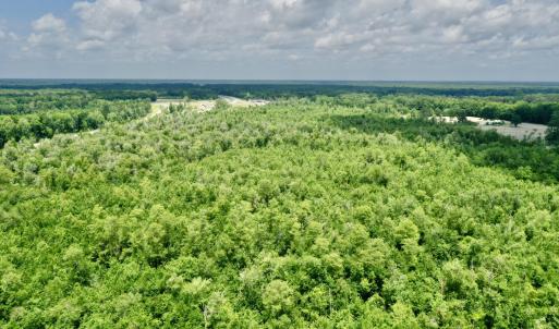 Photo #8 of Near 10769 Old 74, Evergreen, NC 113.0 acres