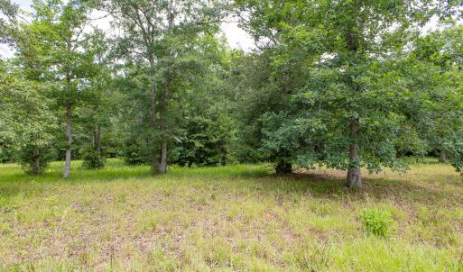 Photo #8 of 535 Wild Rice, Supply, NC 0.6 acres