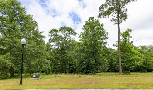 Photo #1 of 535 Wild Rice, Supply, NC 0.6 acres