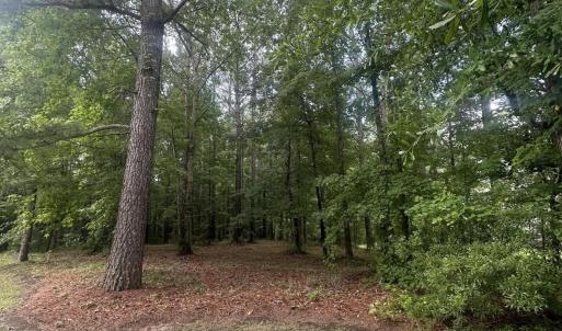 Photo #3 of 3808 Leaf, New Bern, NC 1.8 acres