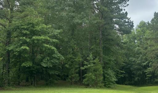 Photo #4 of 3808 Leaf, New Bern, NC 1.8 acres