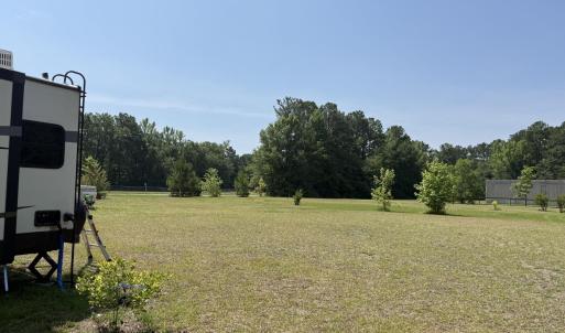 back land