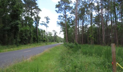 Photo #3 of 3231 Orchard Creek, Oriental, NC 7.9 acres