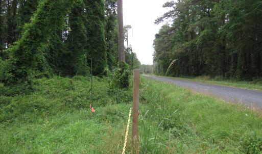 Photo #4 of 3231 Orchard Creek, Oriental, NC 7.9 acres