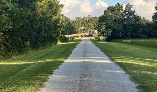 Photo #7 of 3927 Whortonsville, Merritt, NC 7.5 acres