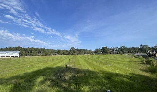 Photo #12 of 3927 Whortonsville, Merritt, NC 7.5 acres