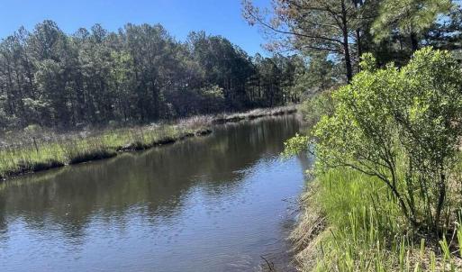 Photo #4 of 3927 Whortonsville, Merritt, NC 7.5 acres