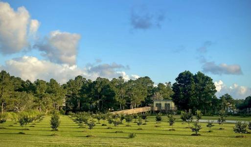 Photo #5 of 3927 Whortonsville, Merritt, NC 7.5 acres