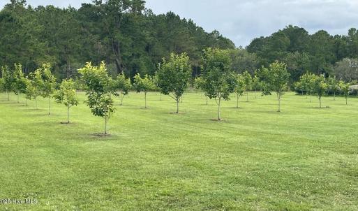 Photo #9 of 3927 Whortonsville, Merritt, NC 7.5 acres