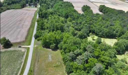 Photo #12 of Rabbit Hollow, Snow Hill, NC 14.3 acres