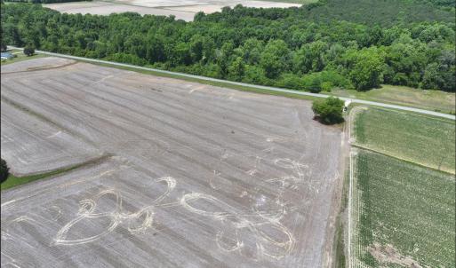 Photo #9 of Rabbit Hollow, Snow Hill, NC 14.3 acres