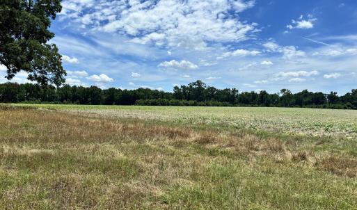 Photo #17 of Rabbit Hollow, Snow Hill, NC 14.3 acres
