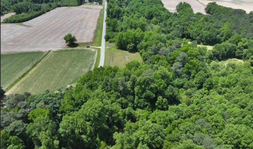 Photo #11 of Rabbit Hollow, Snow Hill, NC 14.3 acres
