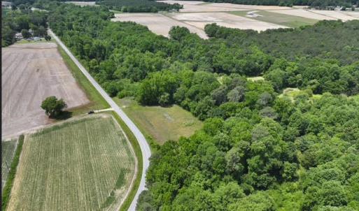 Photo #4 of Rabbit Hollow, Snow Hill, NC 14.3 acres