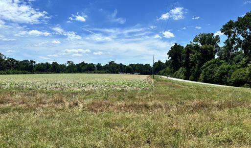 Photo #3 of Rabbit Hollow, Snow Hill, NC 14.3 acres