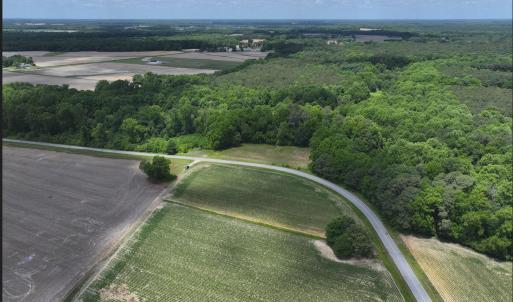 Photo #10 of Rabbit Hollow, Snow Hill, NC 14.3 acres