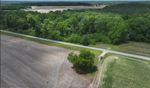 Photo #8 of Rabbit Hollow, Snow Hill, NC 14.3 acres