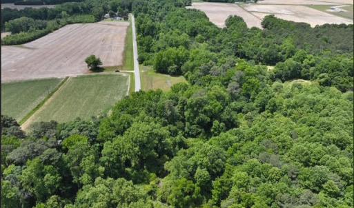 Photo #14 of Rabbit Hollow, Snow Hill, NC 14.3 acres