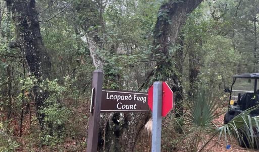 Photo #2 of 8 Leopard Frog, Bald Head Island, NC 0.5 acres