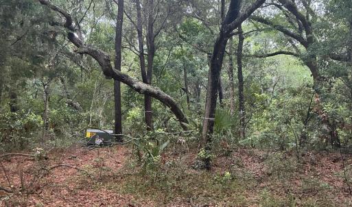 Photo #5 of 8 Leopard Frog, Bald Head Island, NC 0.5 acres