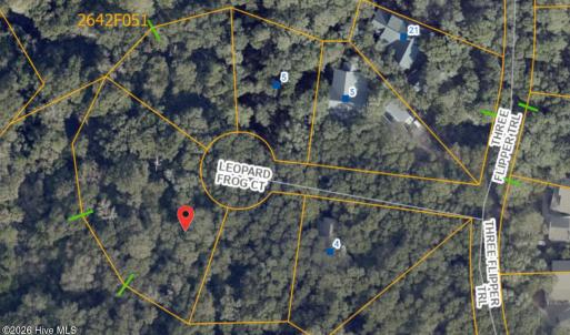 Photo #1 of 8 Leopard Frog, Bald Head Island, NC 0.5 acres