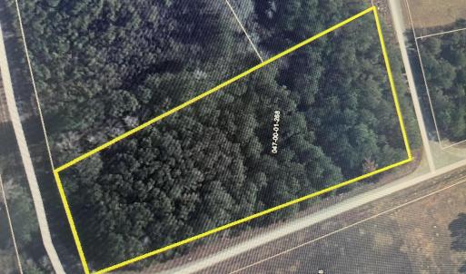 Photo #1 of Tbd Curly, Bennettsville, SC 1.5 acres