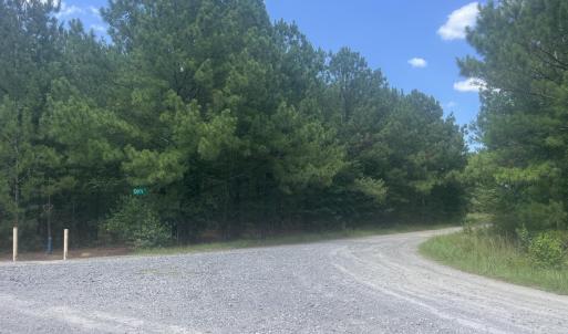 Photo #3 of Tbd Curly, Bennettsville, SC 1.5 acres