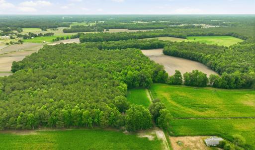 Photo #13 of 1700 Felix Heath, Pink Hill, NC 50.8 acres