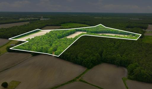 Photo #1 of 1700 Felix Heath, Pink Hill, NC 50.8 acres