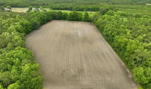 Photo #10 of 1700 Felix Heath, Pink Hill, NC 50.8 acres