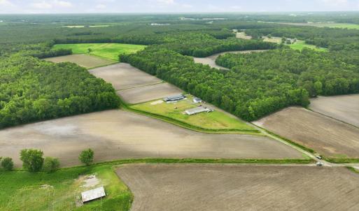 Photo #3 of 1700 Felix Heath, Pink Hill, NC 50.8 acres